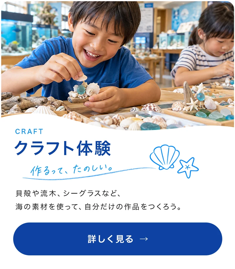 クラフト体験 作るって、たのしい。貝殻や流木、シーグラスなど、海の素材を使って、自分だけの作品をつくろう。詳しく見る
