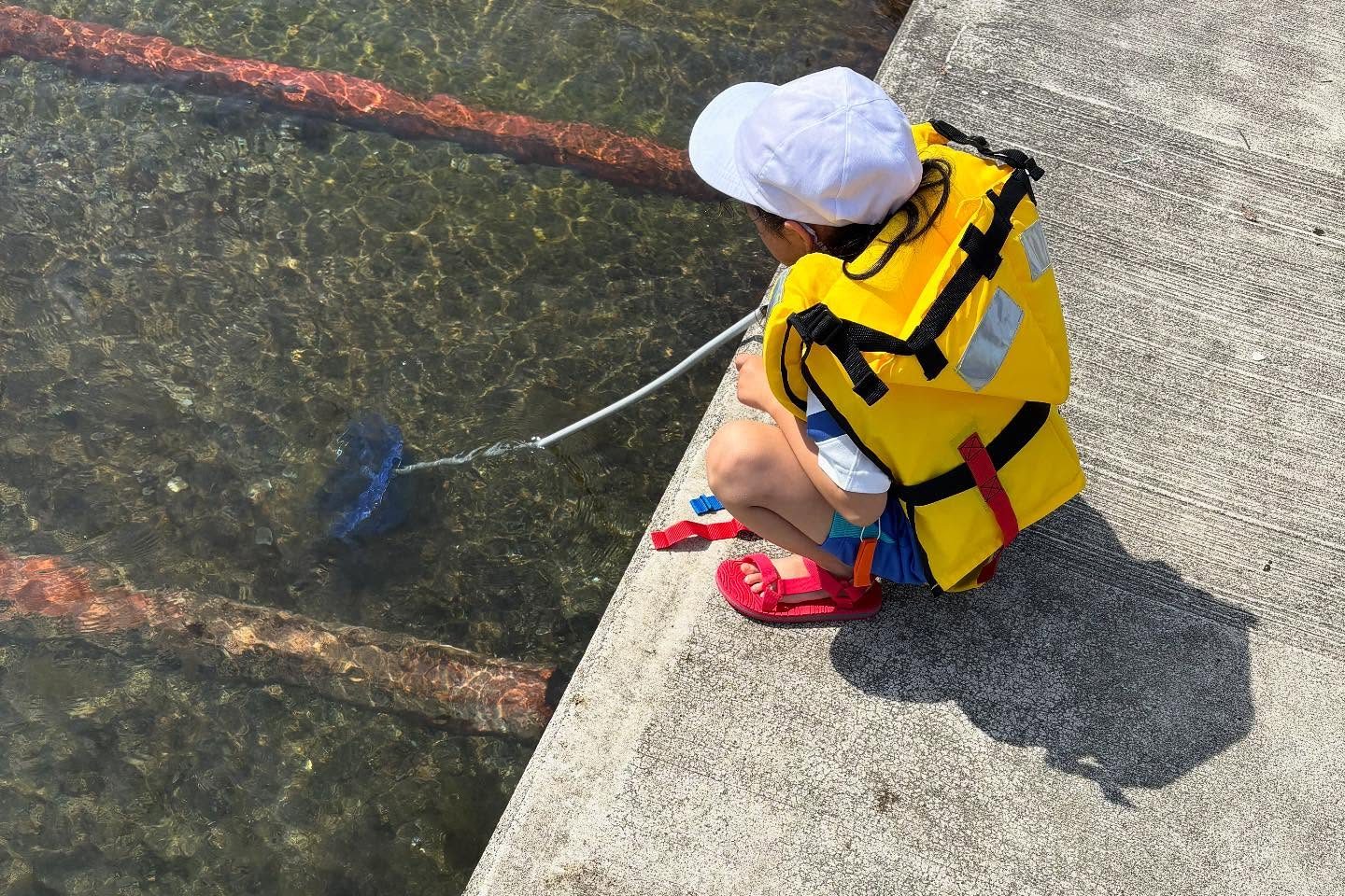 漁港の岸壁から網で生きものを探す子ども