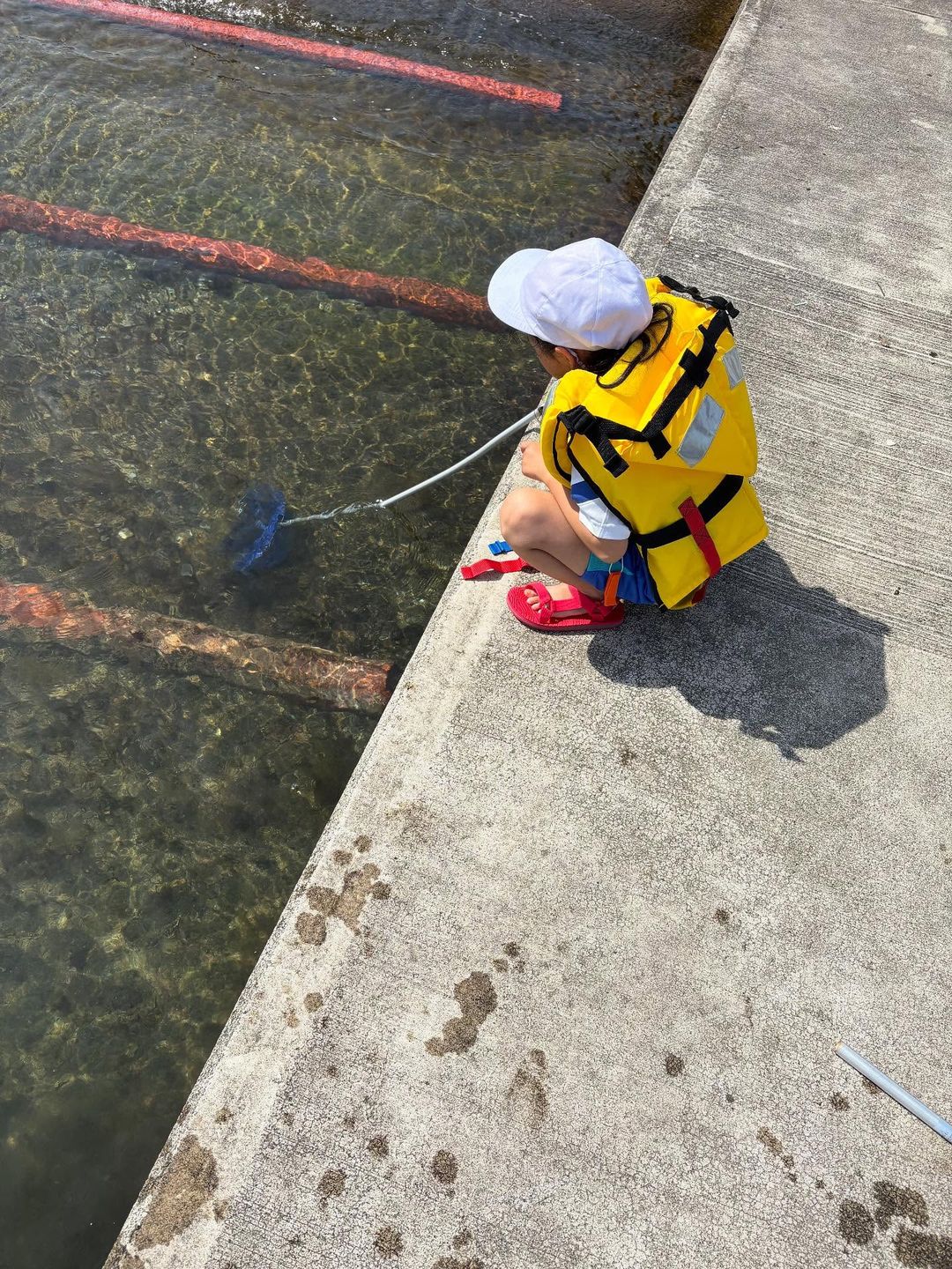 漁港の岸壁から網を垂らし、海の中をのぞきこむ子ども