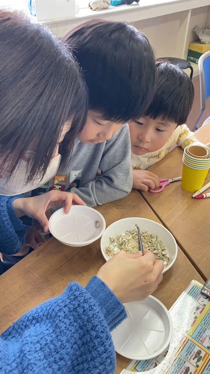 器に入った素材を、大人と一緒にのぞきこむ子どもたち